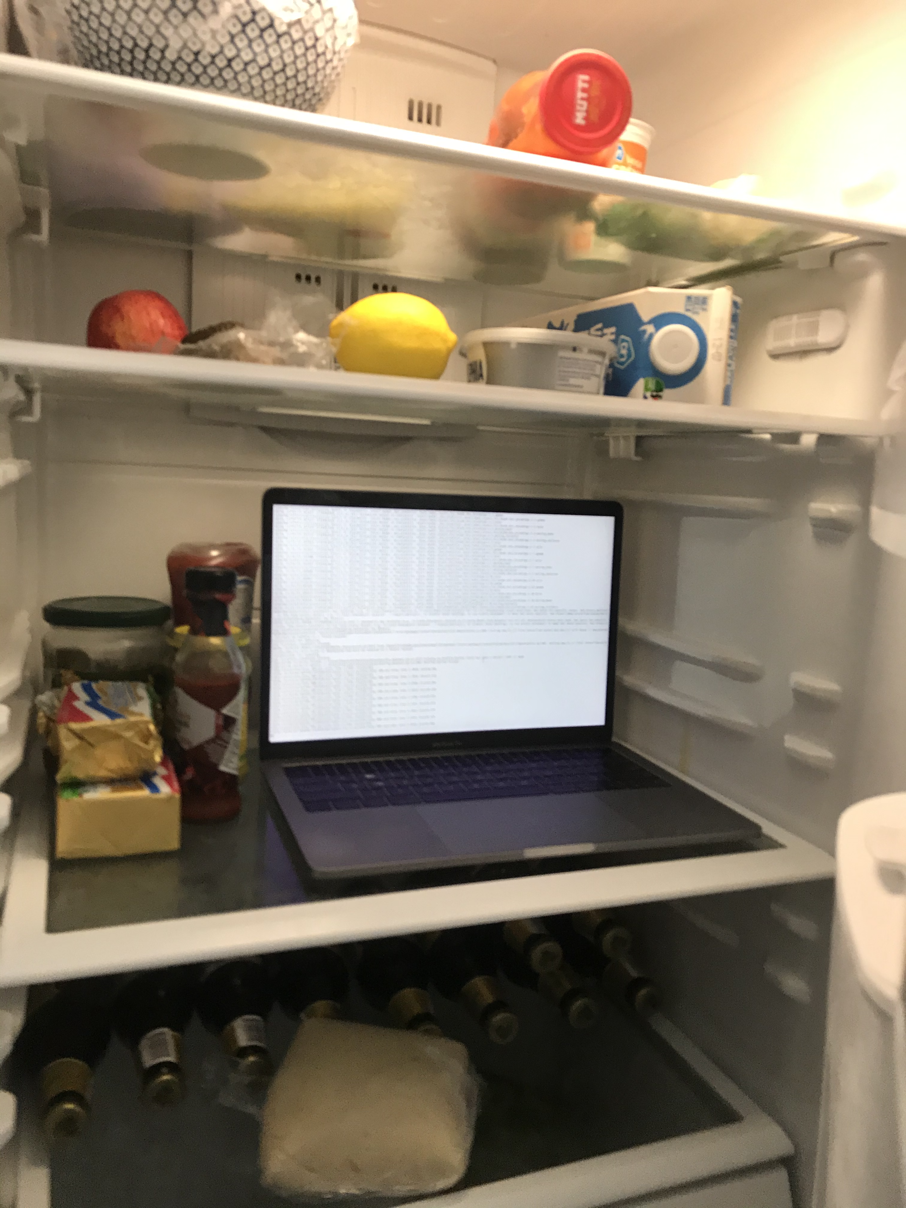Computer in fridge